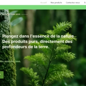 Site E-commerce